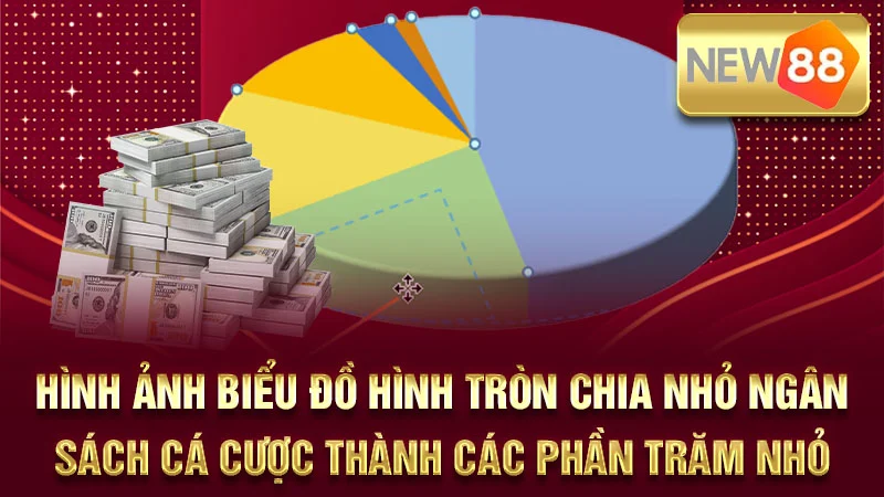 Hình ảnh biểu đồ hình tròn chia nhỏ ngân sách cá cược thành các phần trăm nhỏ.