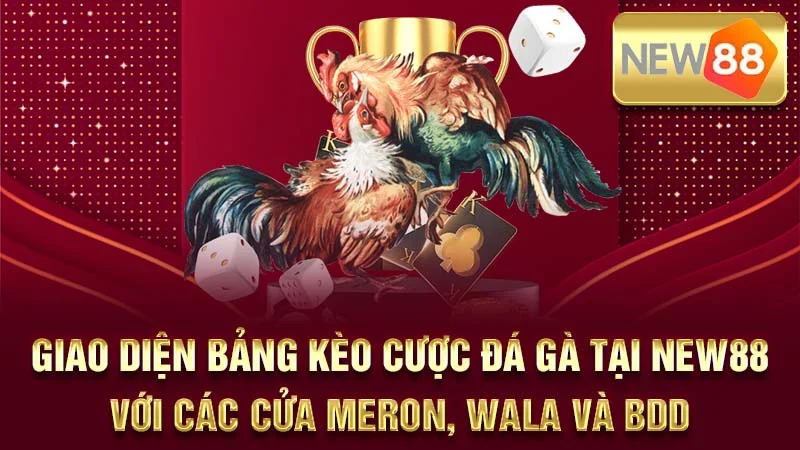 Giao diện bảng kèo cược đá gà tại NEW88 với các cửa Meron, Wala và BDD.