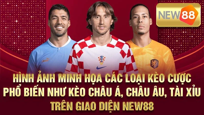 Hình ảnh minh họa các loại kèo cược phổ biến như kèo châu Á, châu Âu, Tài Xỉu trên giao diện NEW88.